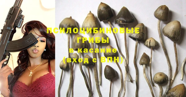 экстази Абаза